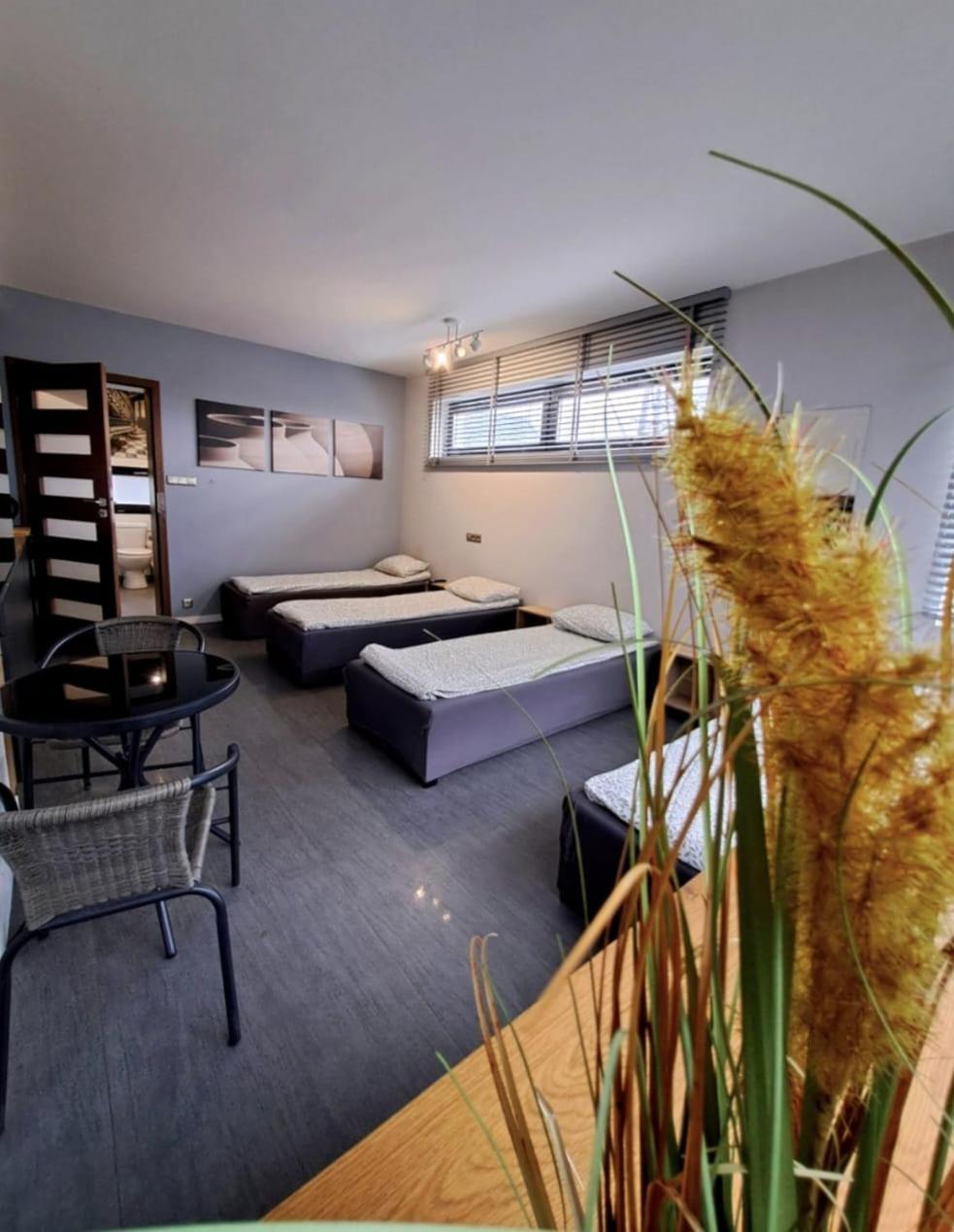 Apartament Studio Piano Płock Zewnętrze zdjęcie