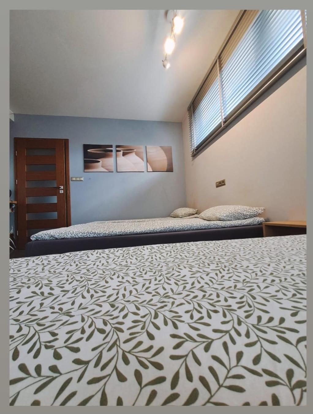 Apartament Studio Piano Płock Zewnętrze zdjęcie
